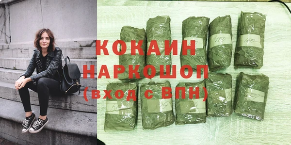 тгк Сатка